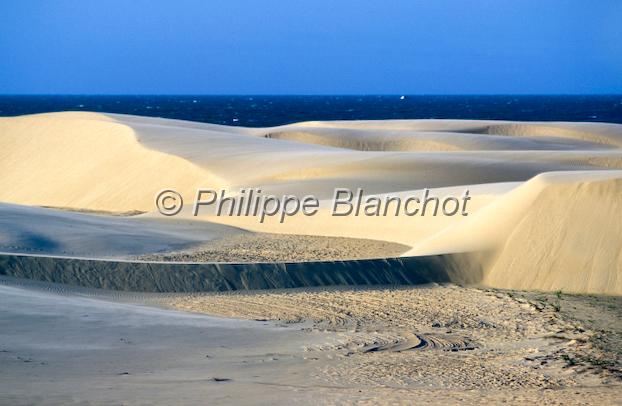 bresil maranhao 03.JPG - Duneset OcéanDelta de ParnaibaNordesteMaranhaoBrésil